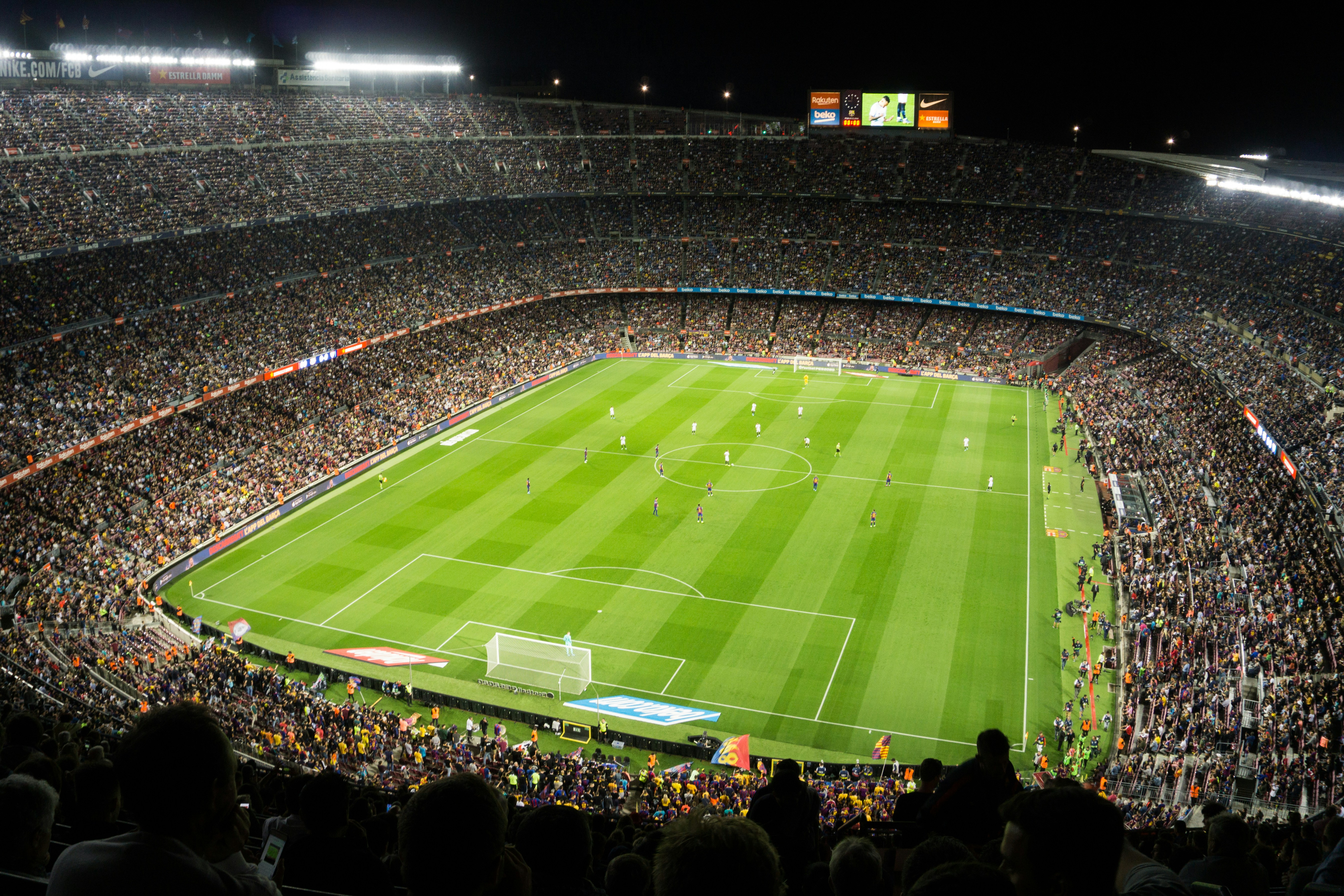 Fussball WM