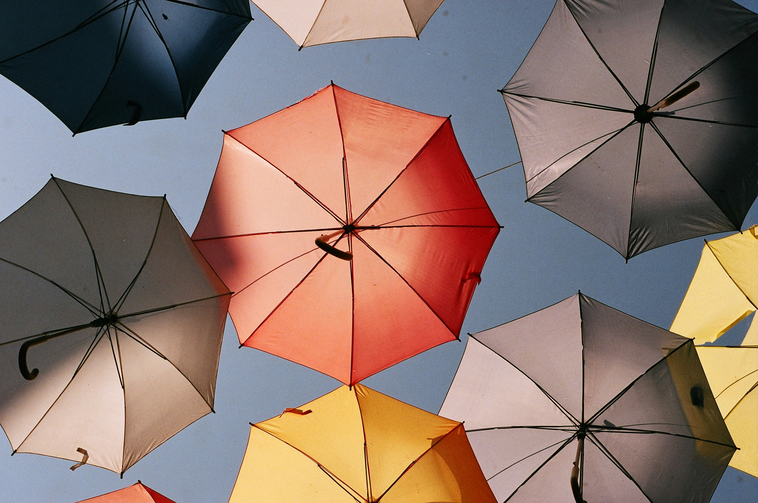 Regenschirm
